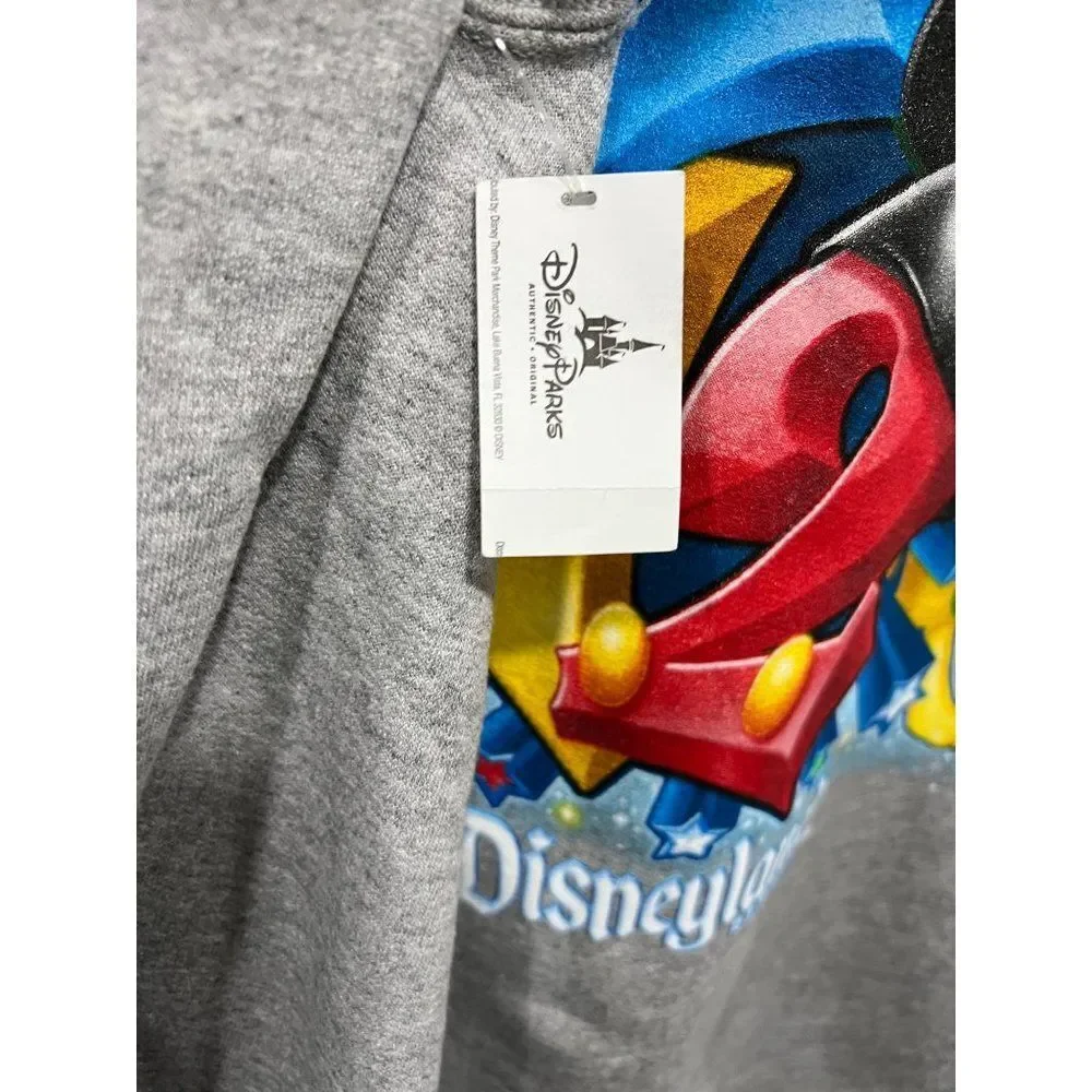 Disneyland Hoodie Full Zip Sweatshirt size L 2012 Mickey‎ and Friends Jacket NWT